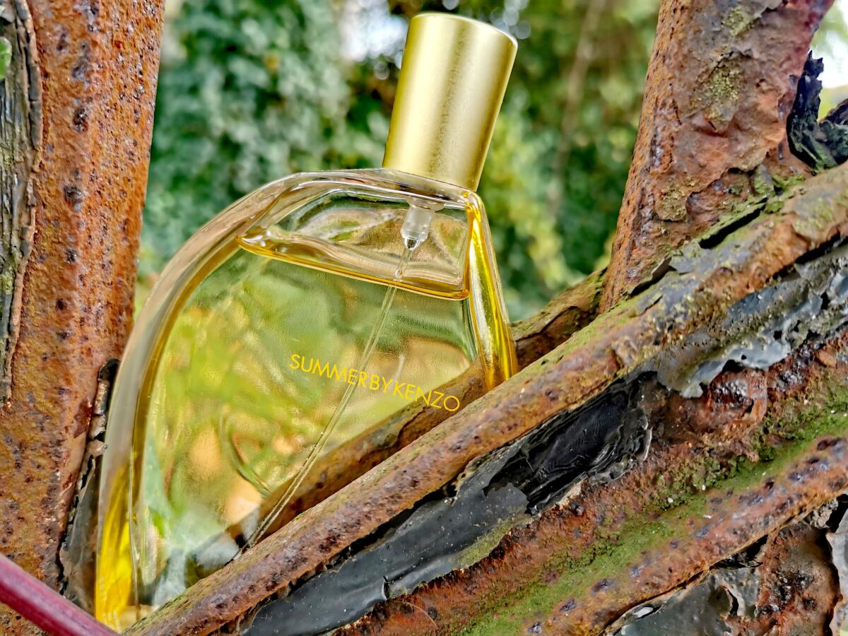 عطر ادکلن سامر بای کنزو کنزو - Summer by Kenzo Kenzo - بررسی، قیمت و خرید