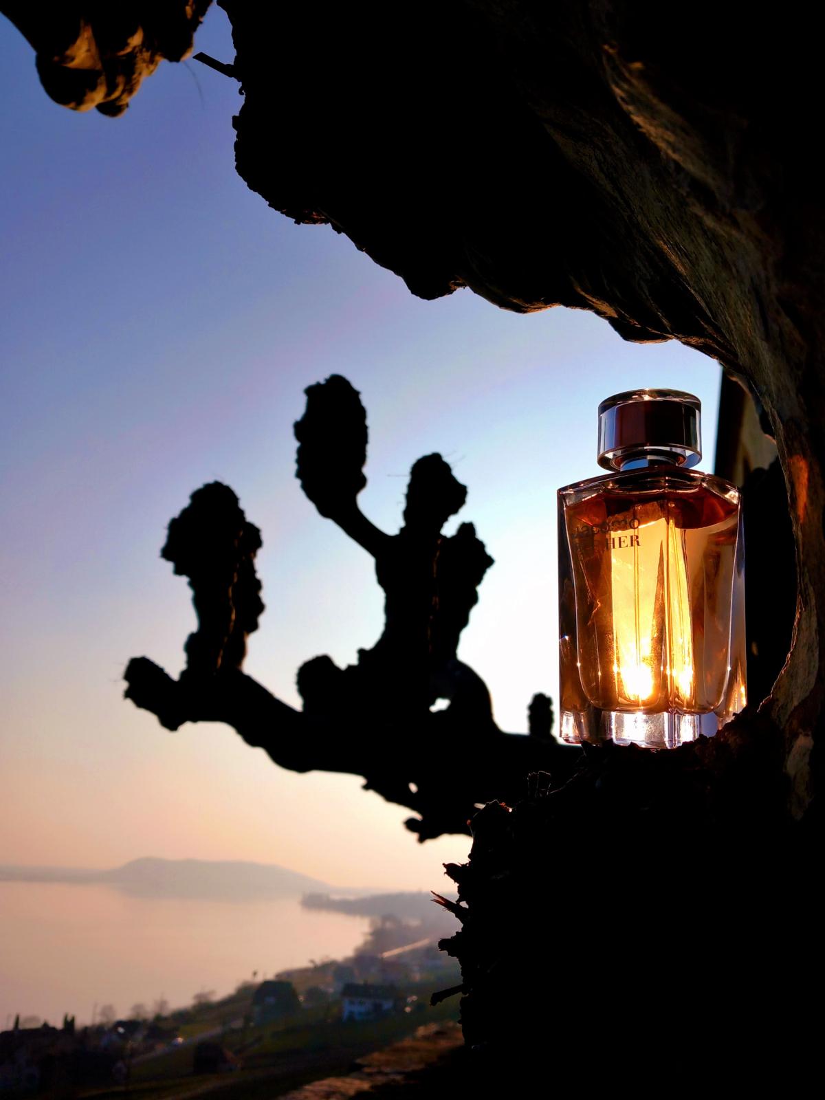 عطر ادکلن جاکومو فور هر ژاکومو - Jacomo for Her Jacomo - بررسی، قیمت و خرید