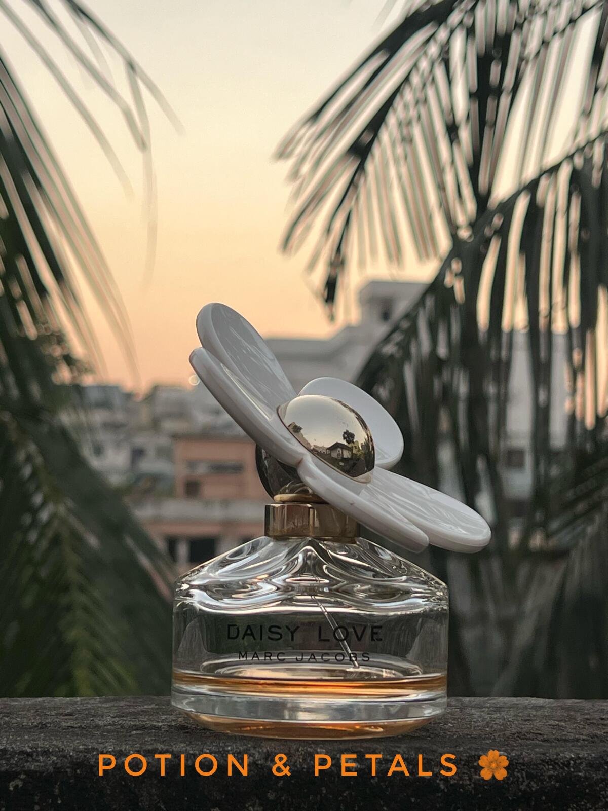 عطر ادکلن دیزی لاو مارک جیکوبز - Daisy Love Marc Jacobs - بررسی، قیمت و خرید