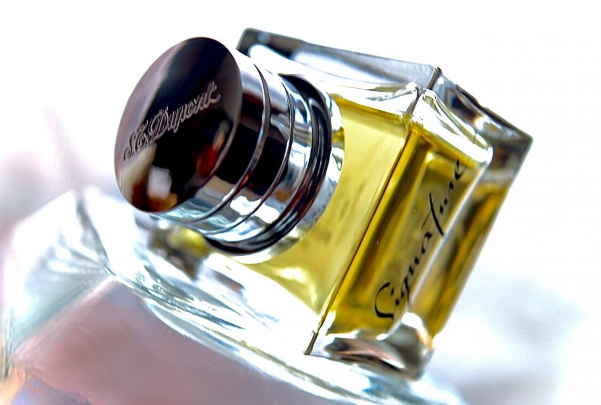 عطر ادکلن سیگنچر فور من اس تی دوپونت - Signature for Men S.T. Dupont - بررسی، قیمت و خرید