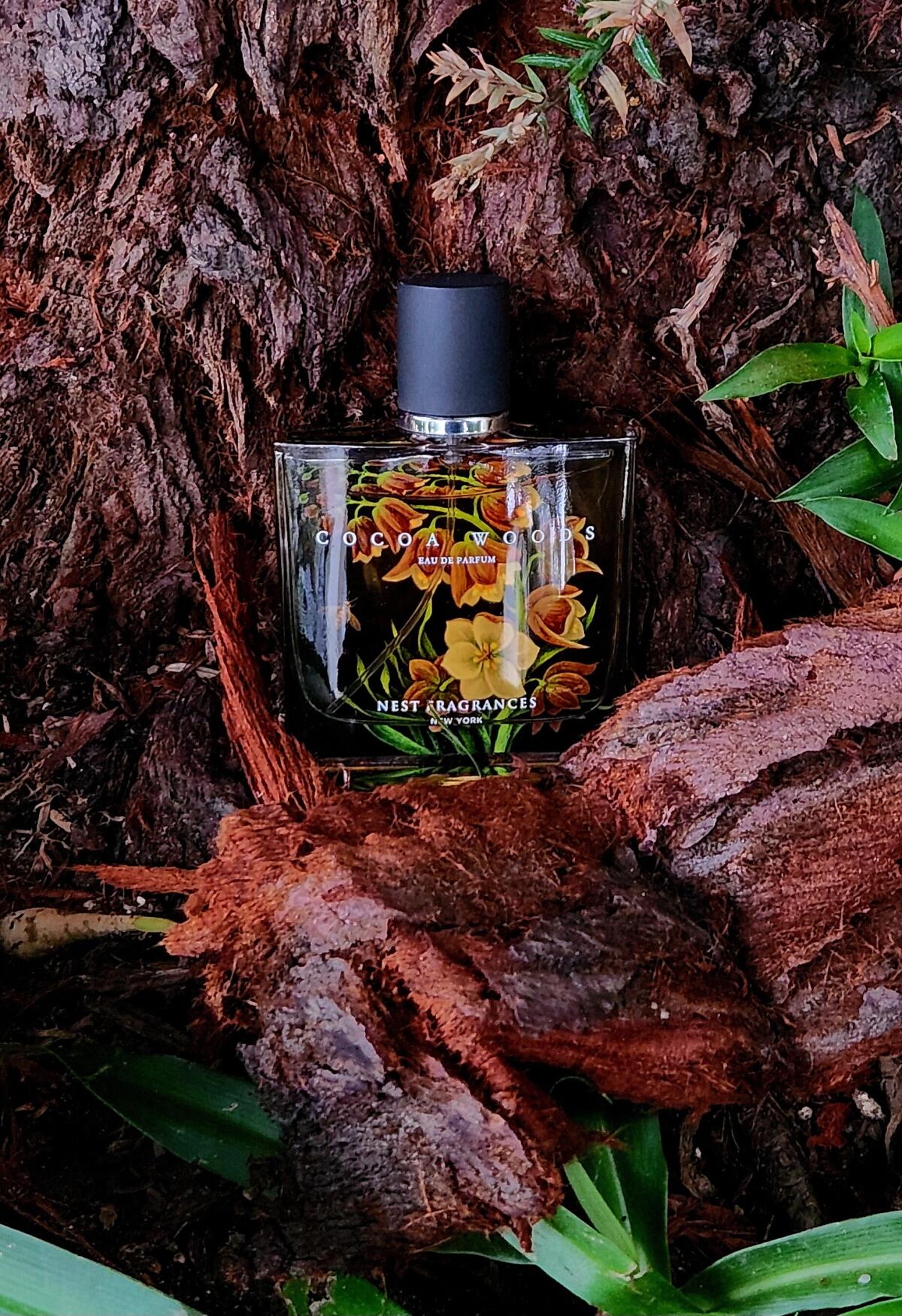 عطر ادکلن کوکوآ وودز نِست - Cocoa Woods Nest - بررسی، قیمت و خرید