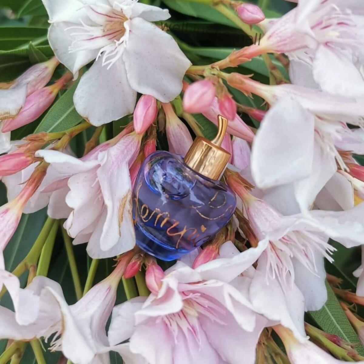 عطر ادکلن لولیتا لمپیکا ل پرمیه پارفوم او دو توالت (مرسور د آمور) لولیتا لمپیکا - Lolita Lempicka Le Premier Parfum Eau de Toilette (Morsure d'Amour) Lolita Lempicka - بررسی، قیمت و خرید