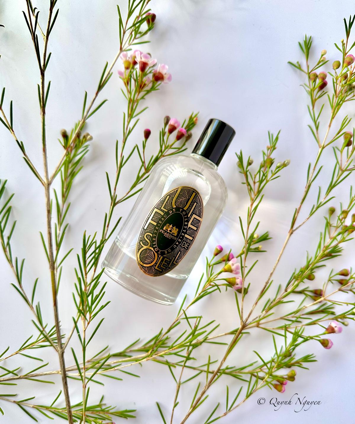 عطر ادکلن پلو دی سولی فایدون - Pluie de Soleil Phaedon - بررسی، قیمت و خرید