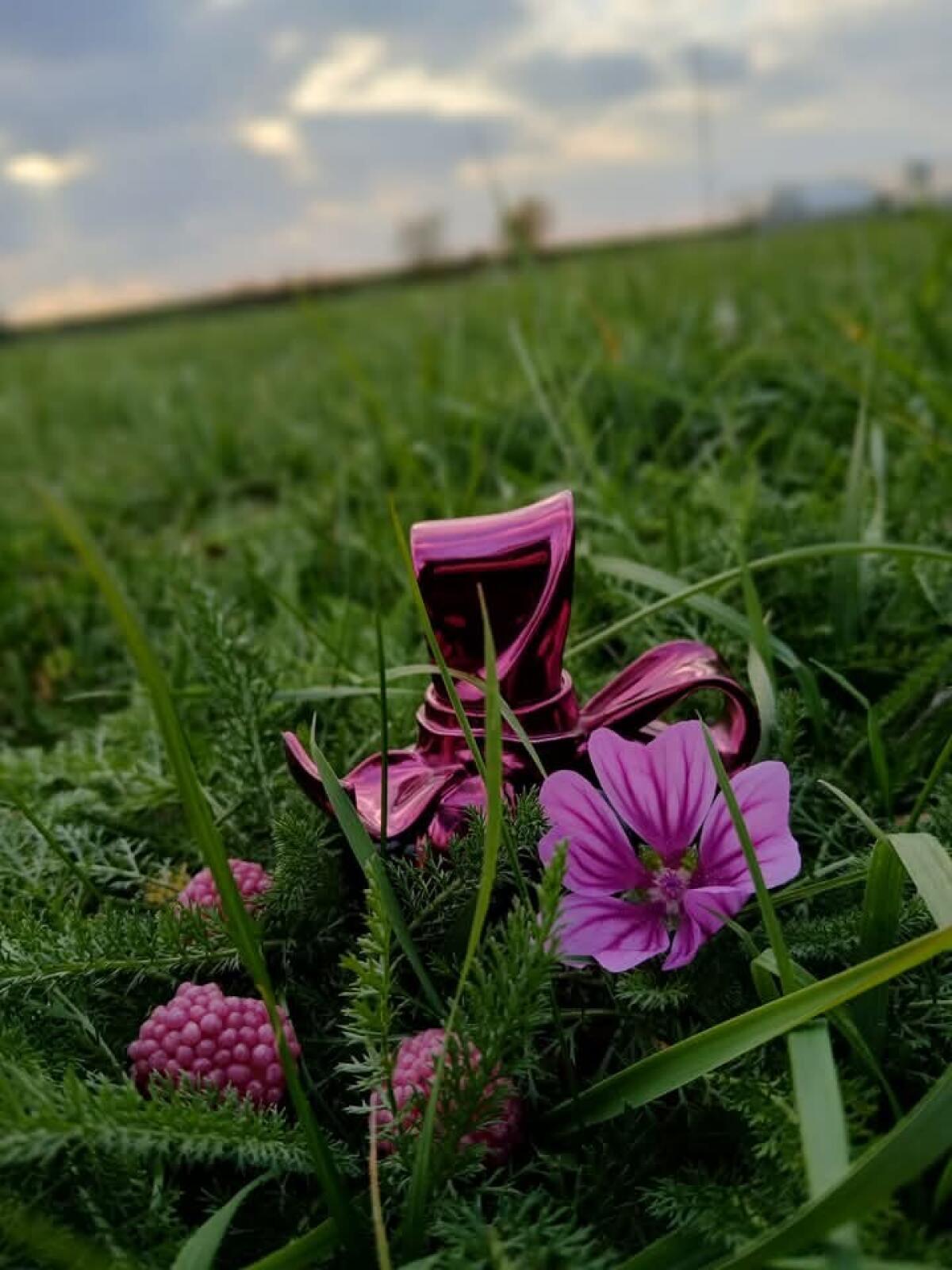 عطر ادکلن ریچی ریچی نینا ریچی - Ricci Ricci Nina Ricci - بررسی، قیمت و خرید