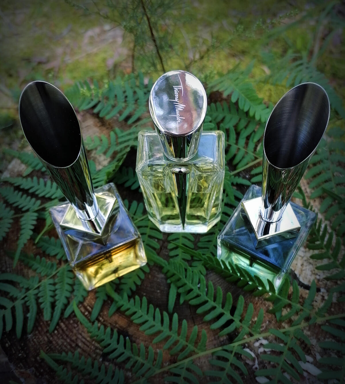 عطر ادکلن فوژر فوریوس ماگلر - Fougere Furieuse Mugler - بررسی، قیمت و خرید