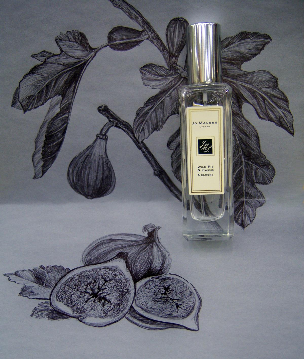 عطر ادکلن وایلد فیگ اند کاسیس جو مالون لندن - Wild Fig & Cassis Jo Malone London - بررسی، قیمت و خرید