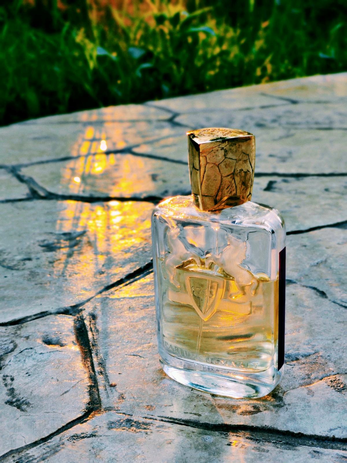 عطر ادکلن دارلی پرفیوم د مارلی - Darley Parfums de Marly - بررسی، قیمت و خرید