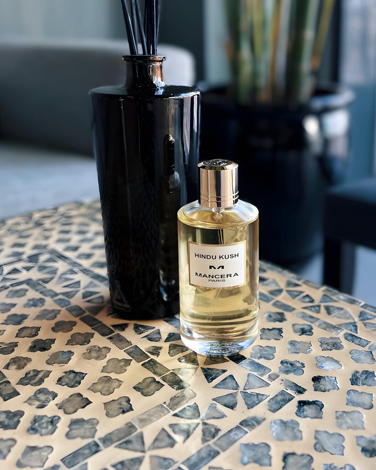 عطر ادکلن هندوکش منسرا - Hindu Kush Mancera - بررسی، قیمت و خرید