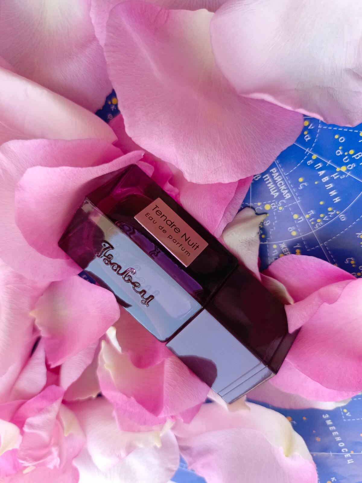 عطر ادکلن تندر نویت ایزابِی - Tendre Nuit Isabey - بررسی، قیمت و خرید