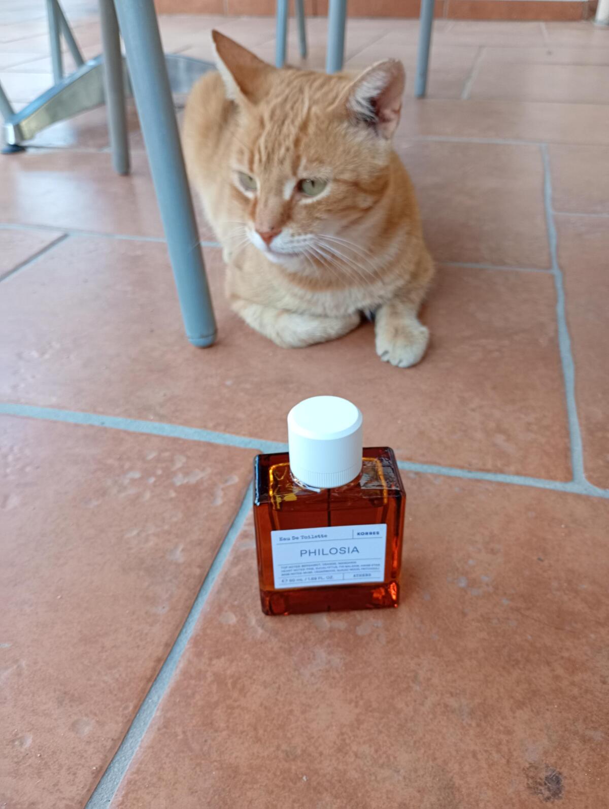 عطر ادکلن فیلوسیا کرس - Philosia Korres - بررسی، قیمت و خرید