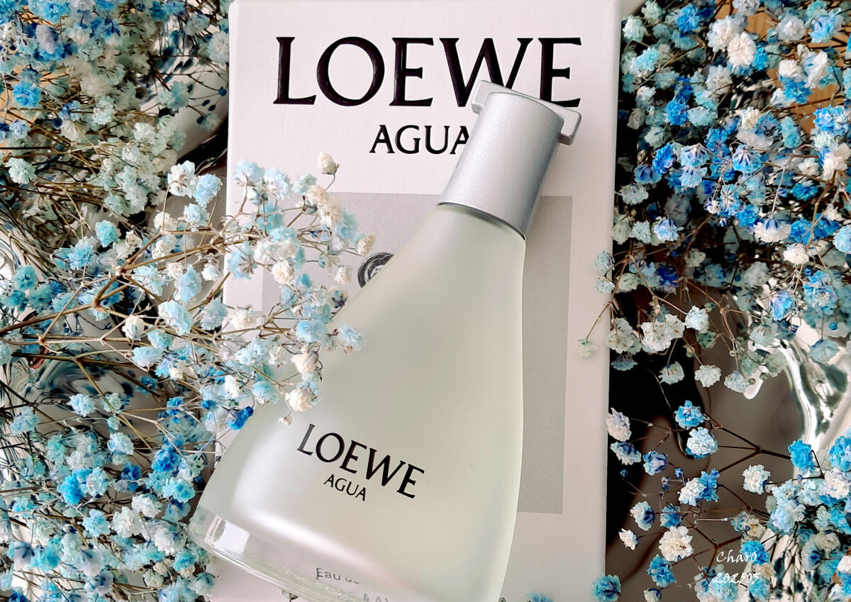 عطر ادکلن آگوا د لووه لویی - Agua de Loewe Loewe - بررسی، قیمت و خرید