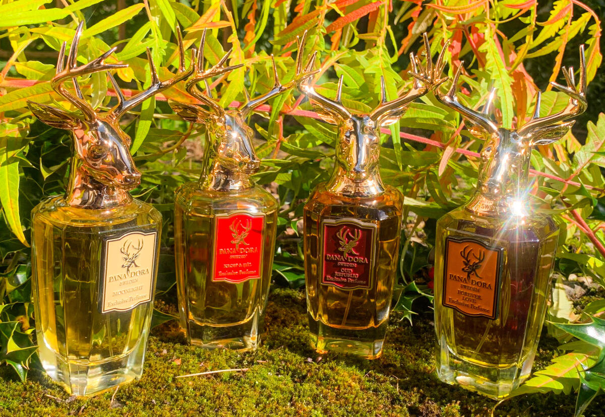 عطر ادکلن مون‌لایت پانادورا - Moonlight Pana Dora - بررسی، قیمت و خرید