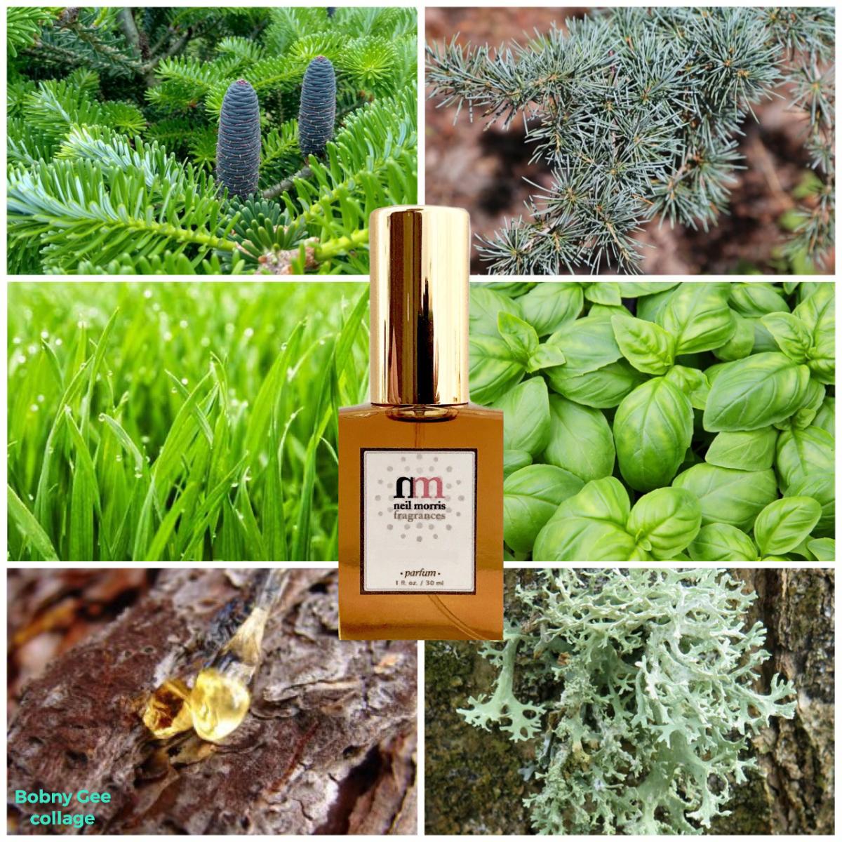 عطر ادکلن اِرس‌تُنز نامبر تری: نُرث وودز نیل موریس - Earthtones #3: North Woods Neil Morris - بررسی، قیمت و خرید