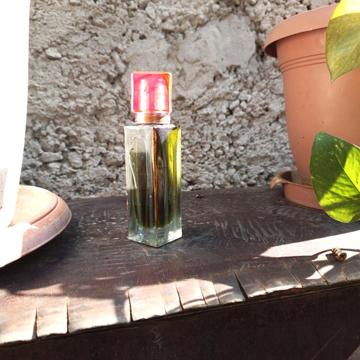 عطر ادکلن آمور اسکای بای هاوس آو آتروپا - Amurski Bay House of Atropa - بررسی، قیمت و خرید