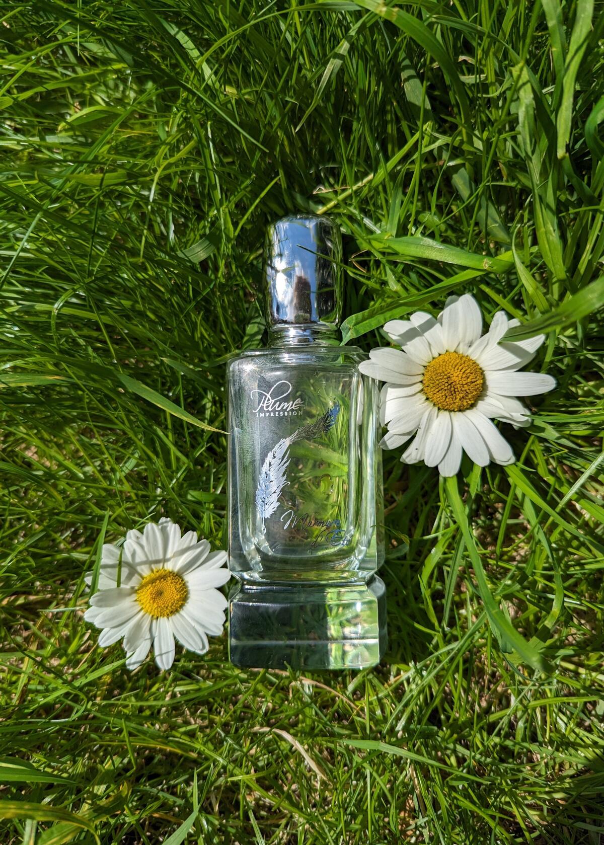 عطر ادکلن مورمور دِ اِته پلام ایمپرشن - Murmure d'Ete Plume Impression - بررسی، قیمت و خرید