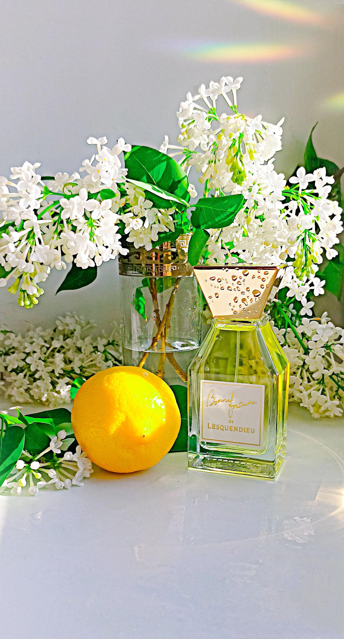 عطر ادکلن بان فورتون لسکندیو - Bonne Fortune Lesquendieu - بررسی، قیمت و خرید