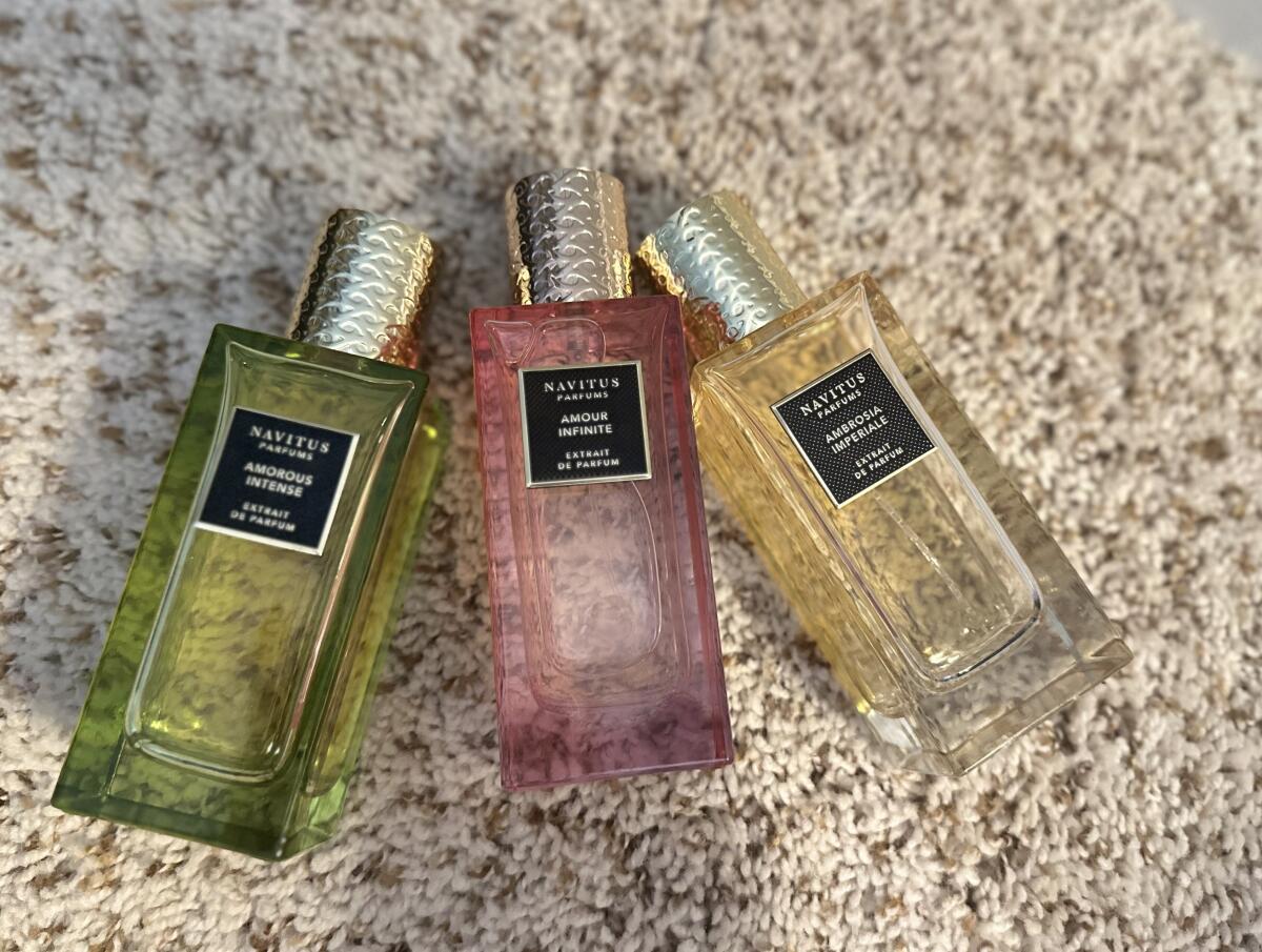 عطر ادکلن آموروس اینتنس ناویتوس پرفیومز - Amorous Intense Navitus Parfums - بررسی، قیمت و خرید