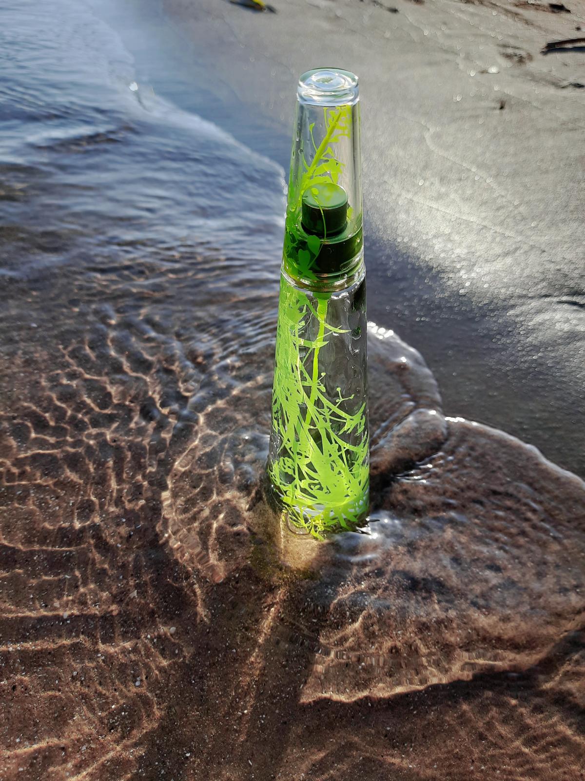 عطر ادکلن له دو ایسه سامر ۲۰۰۷ فم ایسی میاکی - L'Eau d'Issey Summer 2007 Femme Issey Miyake - بررسی، قیمت و خرید