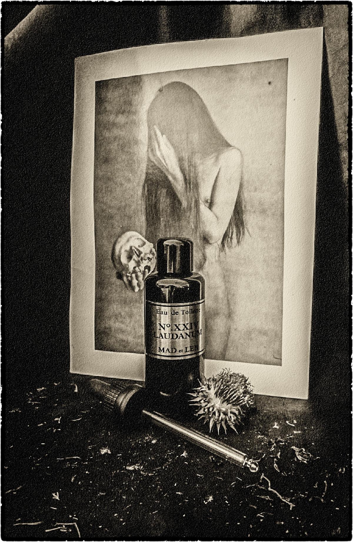 عطر ادکلن نو ایکس‌ایکس‌آی‌وی لادنوم مد لن - No. XXIV Laudanum Mad et Len - بررسی، قیمت و خرید