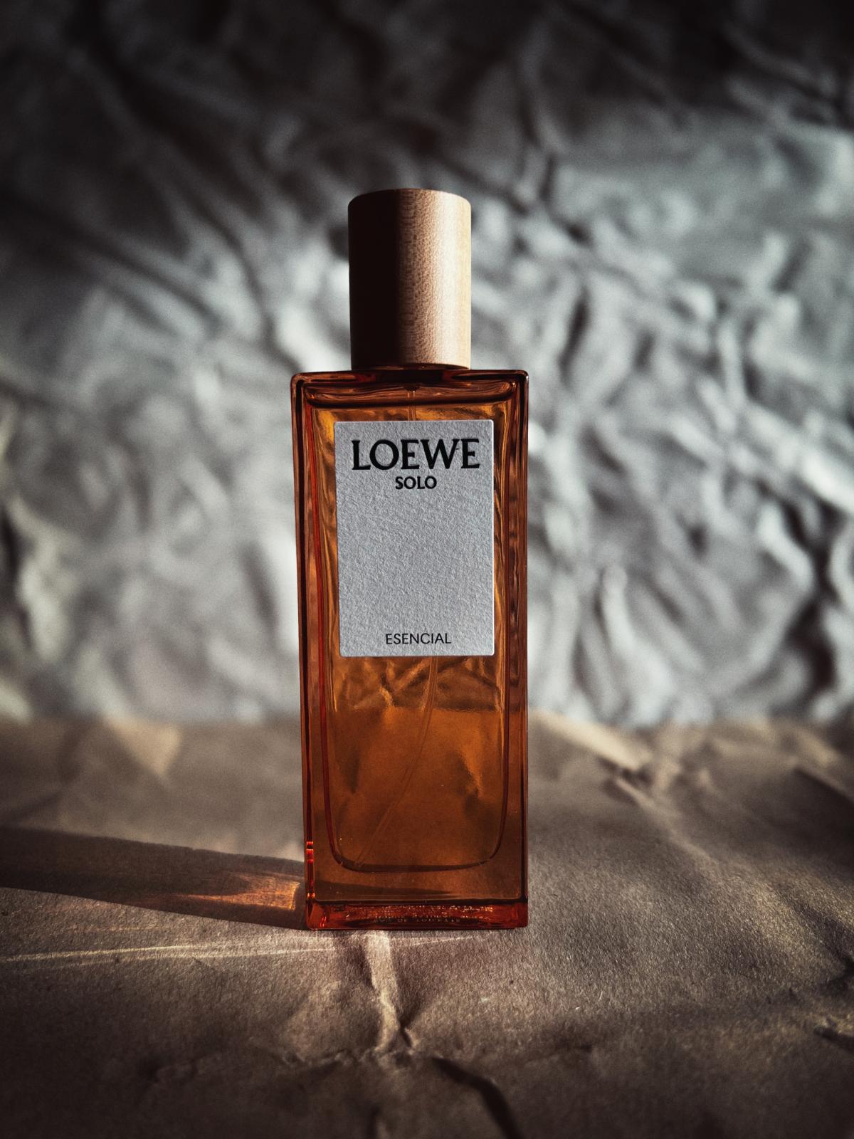 عطر ادکلن سولو لووِه اسِنشال لووه - Solo Loewe Esencial Loewe - بررسی، قیمت و خرید