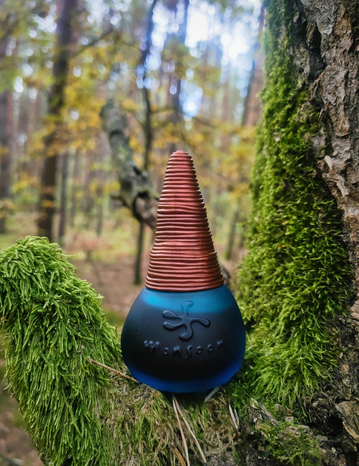 عطر ادکلن مانسون مانسون - Monsoon (original) Monsoon - بررسی، قیمت و خرید