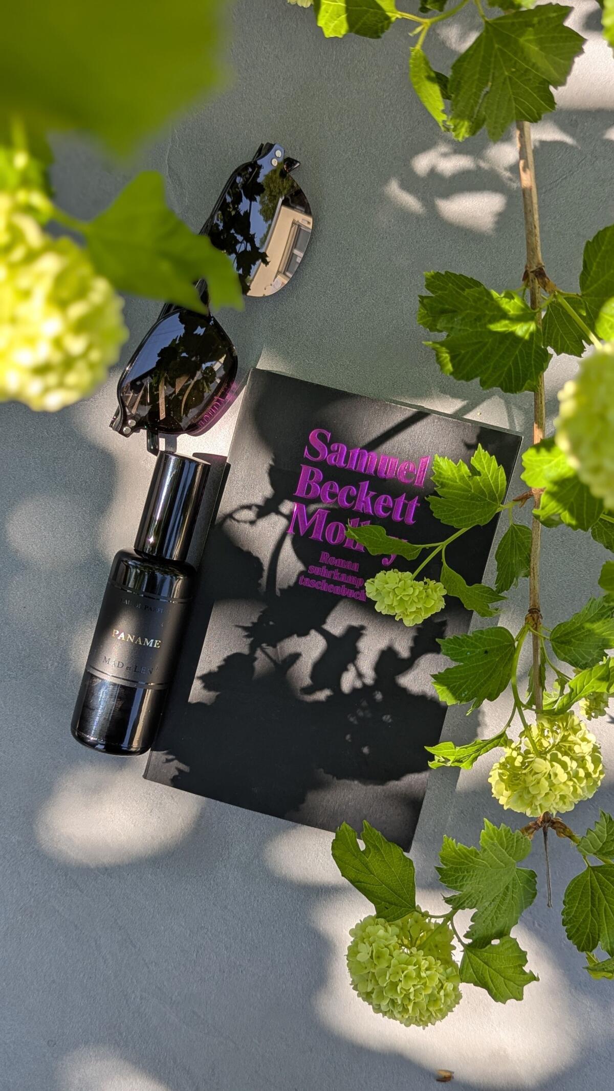 عطر ادکلن پانام مَد اَت لِن - Paname Mad et Len - بررسی، قیمت و خرید