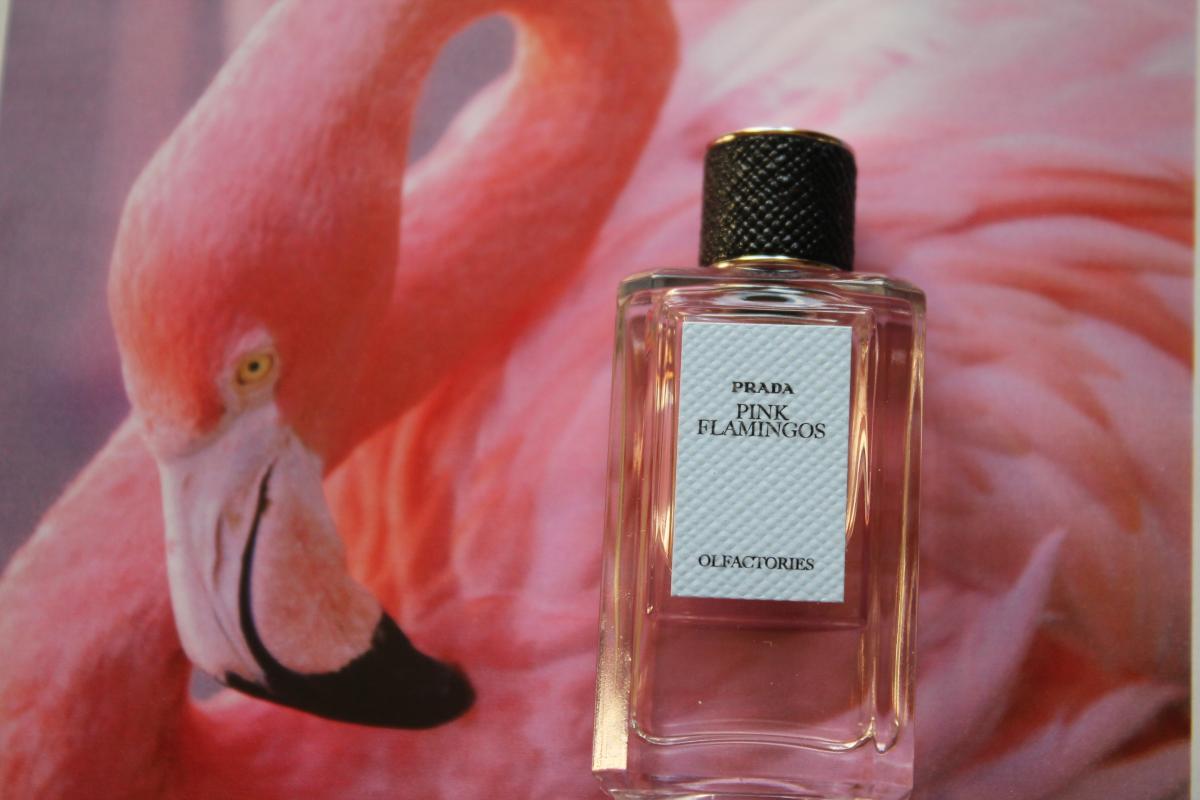 عطر ادکلن پینک فلامینگو پرادا - Pink Flamingos Prada - بررسی، قیمت و خرید