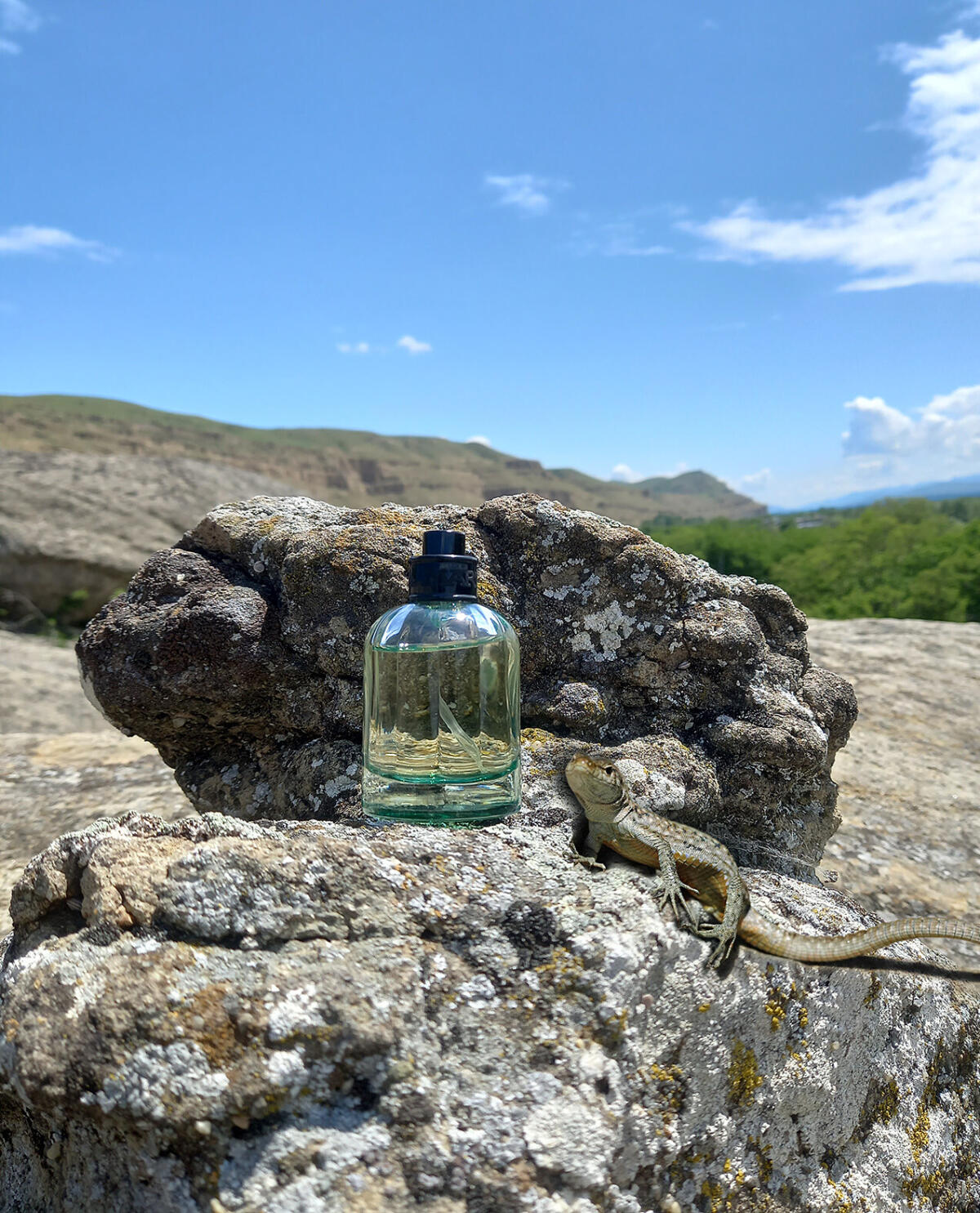 عطر ادکلن آلفا وودز لا مارتینا - Alpha Woods La Martina - بررسی، قیمت و خرید