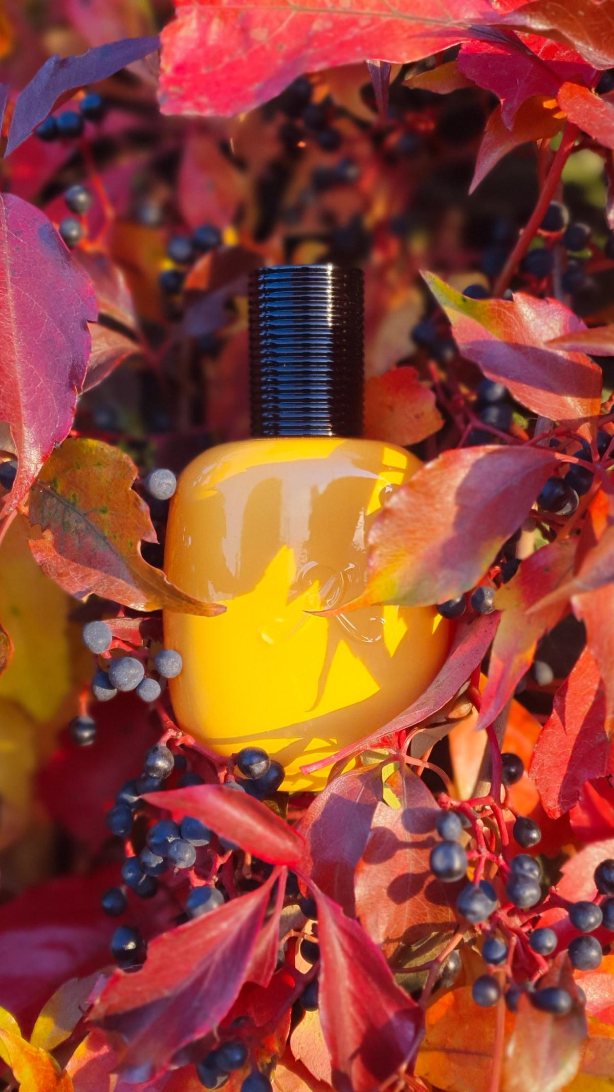 عطر ادکلن وانیل پارادوکس له پارفوم دو روزین - Vanille Paradoxe Les Parfums de Rosine - بررسی، قیمت و خرید