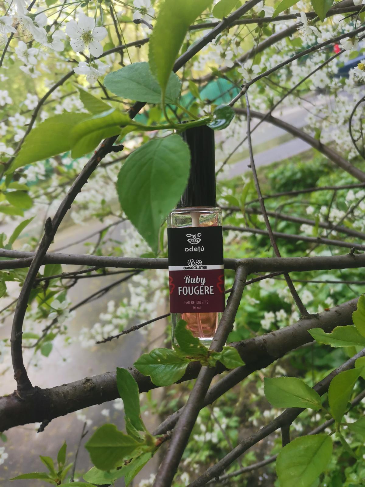 عطر ادکلن روبی فوژر اودتو - Ruby Fougere Odetu - بررسی، قیمت و خرید