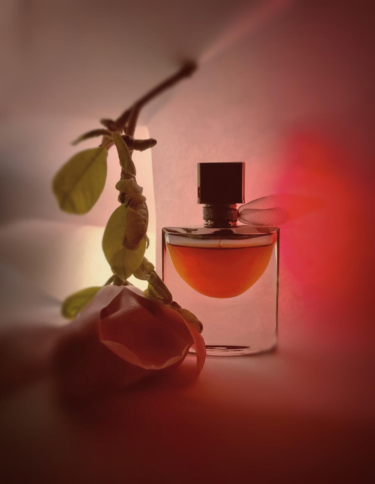 عطر ادکلن لا ویه است بل لابسیلو لنکوم - La Vie Est Belle L’Absolu Lancôme - بررسی، قیمت و خرید