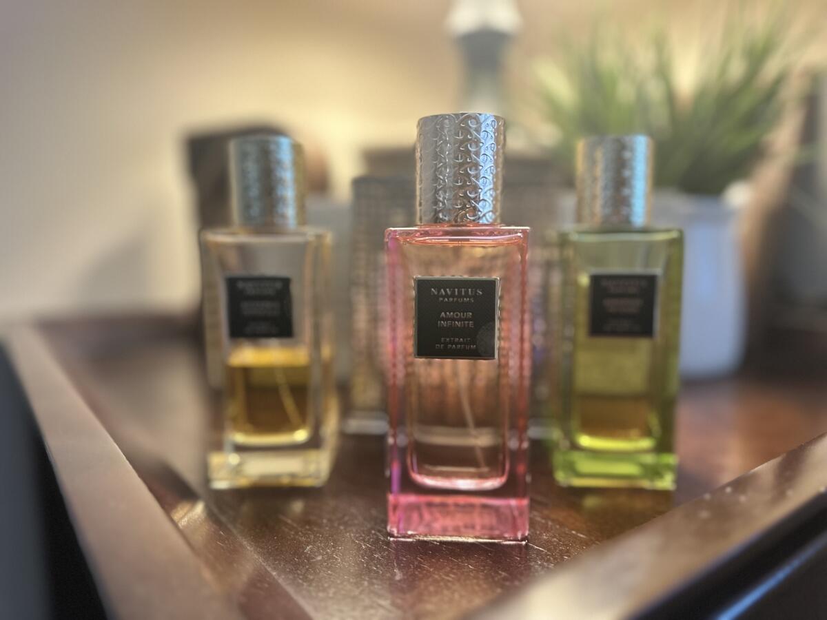 عطر ادکلن آموروس اینتنس ناویتوس پرفیومز - Amorous Intense Navitus Parfums - بررسی، قیمت و خرید