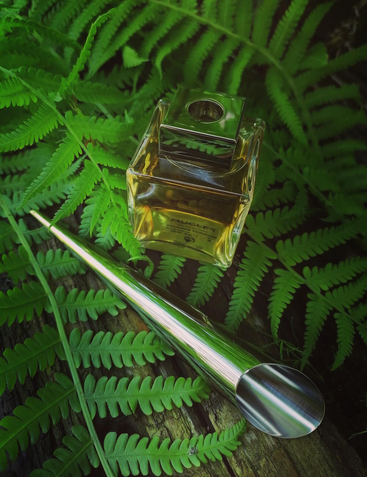 عطر ادکلن فوژر فوریوس ماگلر - Fougere Furieuse Mugler - بررسی، قیمت و خرید