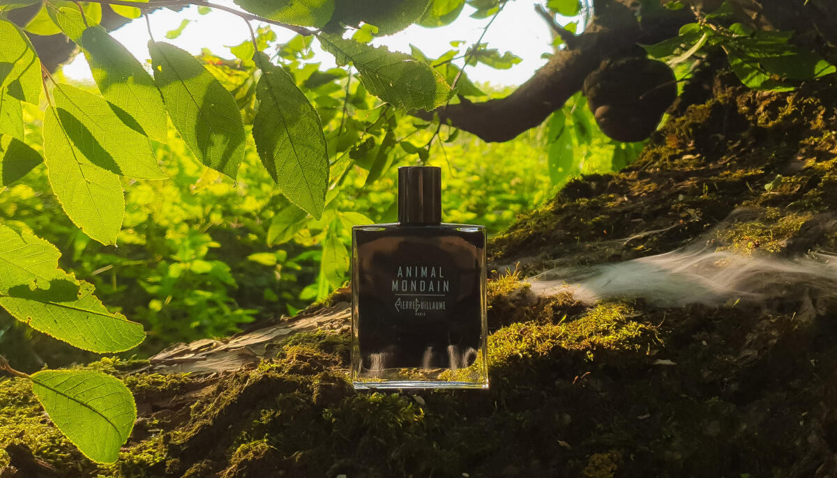 عطر ادکلن آنیمال موندین پیر گیوم پاریس - Animal Mondain Pierre Guillaume Paris - بررسی، قیمت و خرید