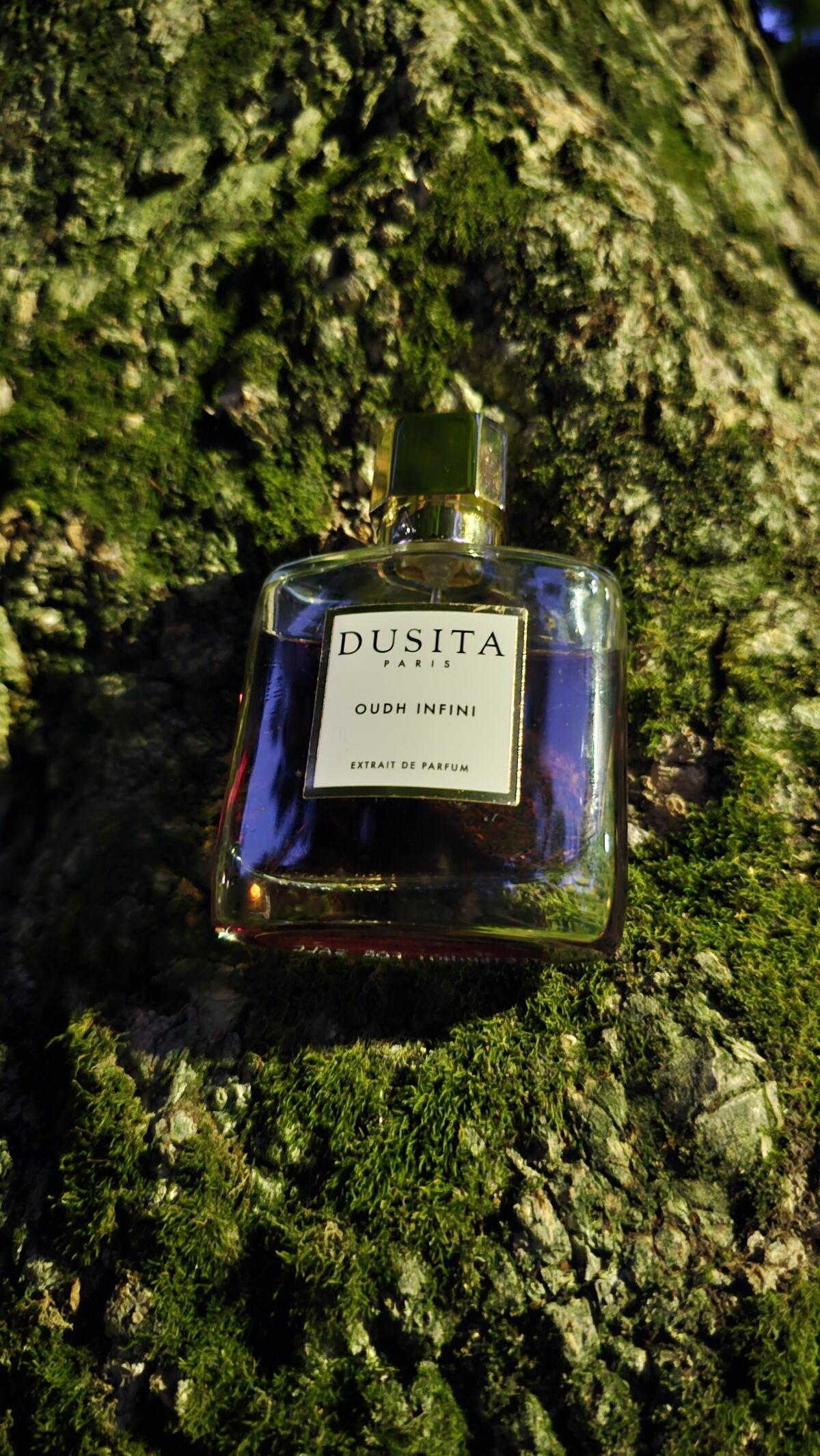 عطر ادکلن عود اینفینی پرفیومز دوسیتا - Oudh Infini Parfums Dusita - بررسی، قیمت و خرید
