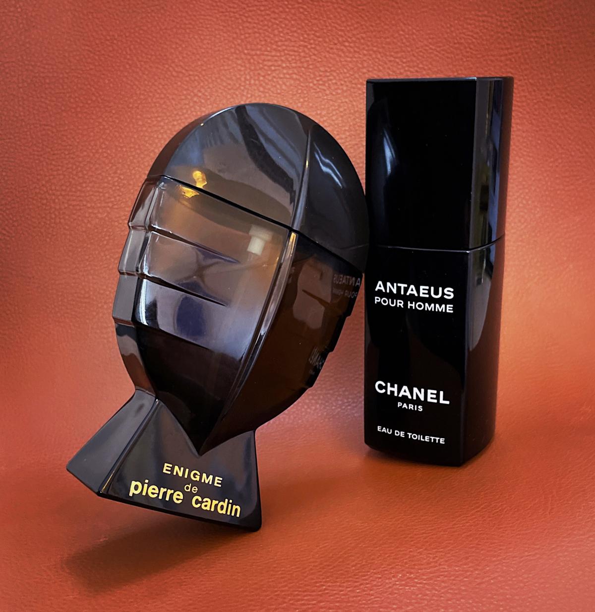 عطر ادکلن انیگم پیر کاردین - Enigme Pierre Cardin - بررسی، قیمت و خرید