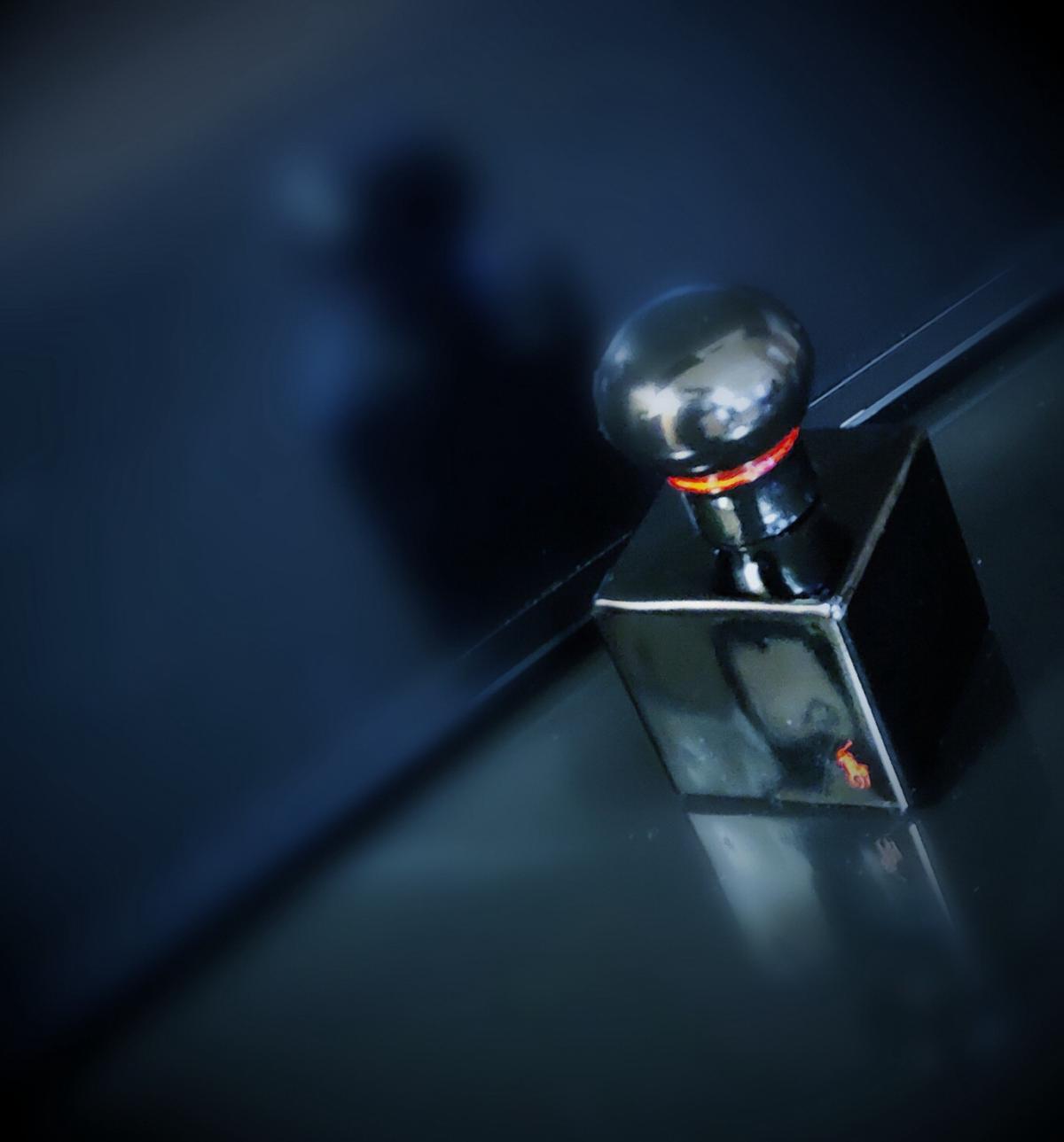 عطر ادکلن تاکسیدو رالف لورن - Tuxedo Ralph Lauren - بررسی، قیمت و خرید