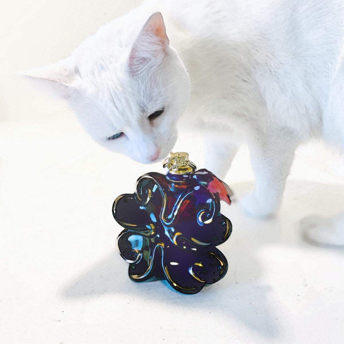 عطر ادکلن ایلوشنز نوارز سی لولیتا او د مینویت لولیتا لمپیکا - Illusions Noires Si Lolita Eau de Minuit Lolita Lempicka - بررسی، قیمت و خرید