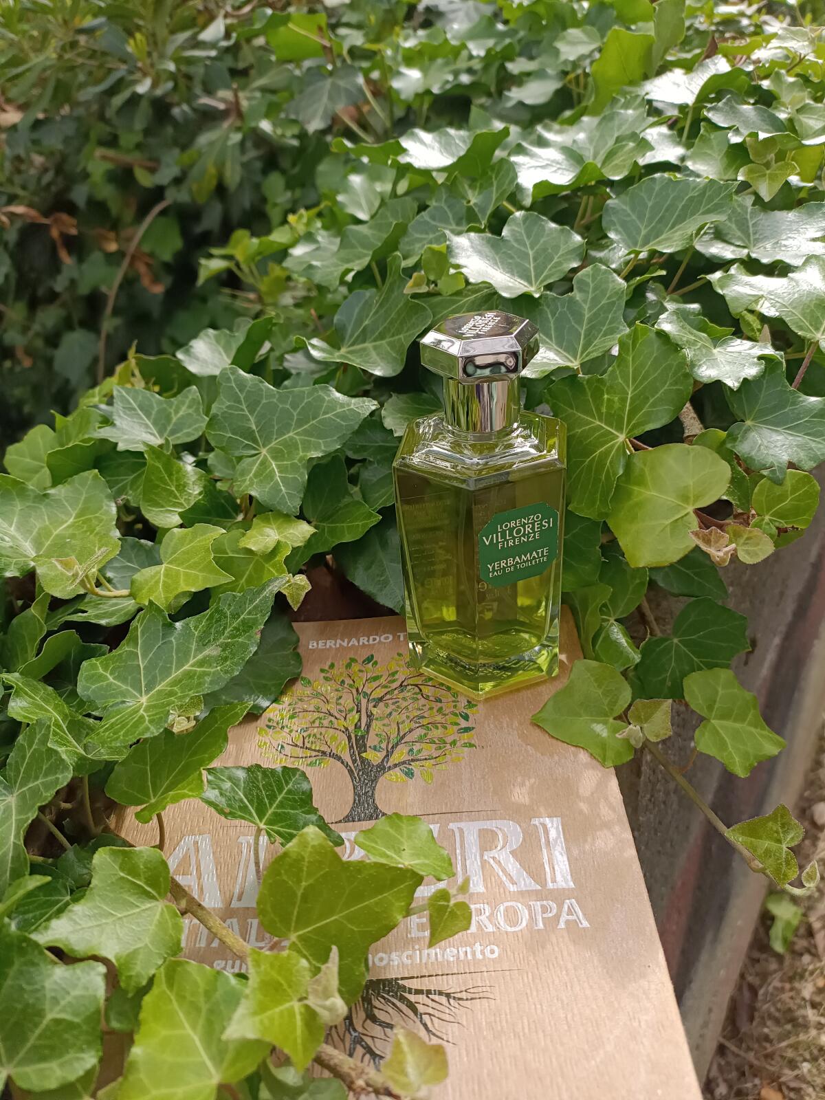 عطر ادکلن یرمیت لورنتزو ویلوریزی - Yerbamate Lorenzo Villoresi - بررسی، قیمت و خرید
