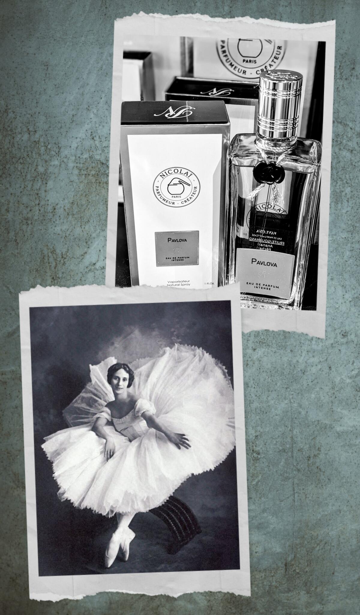 عطر ادکلن پاولووا نیکولای پارفیومر کریتور - Pavlova Nicolai Parfumeur Createur - بررسی، قیمت و خرید