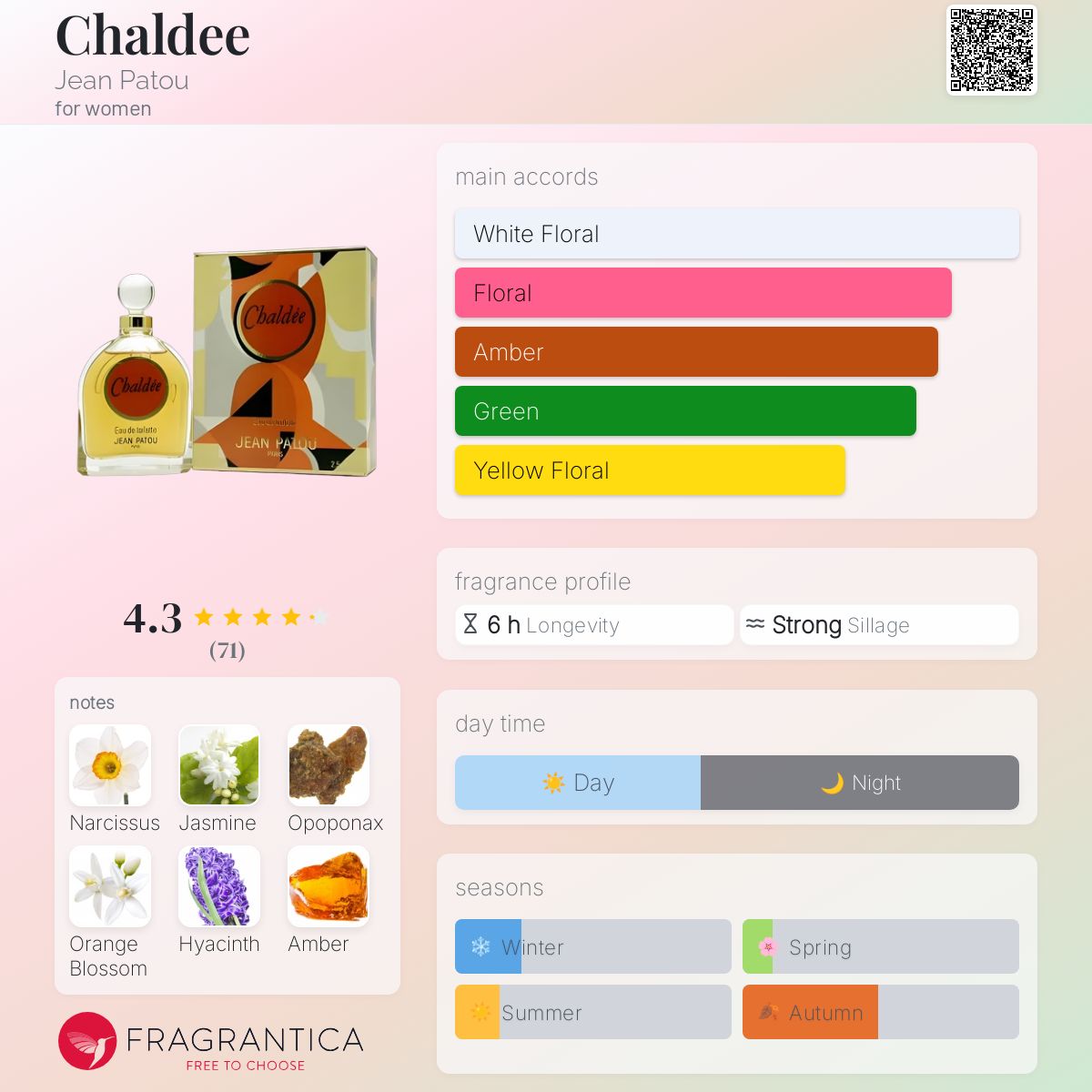 عطر ادکلن کالدی ژان پاتو - Chaldee Jean Patou - بررسی، قیمت و خرید