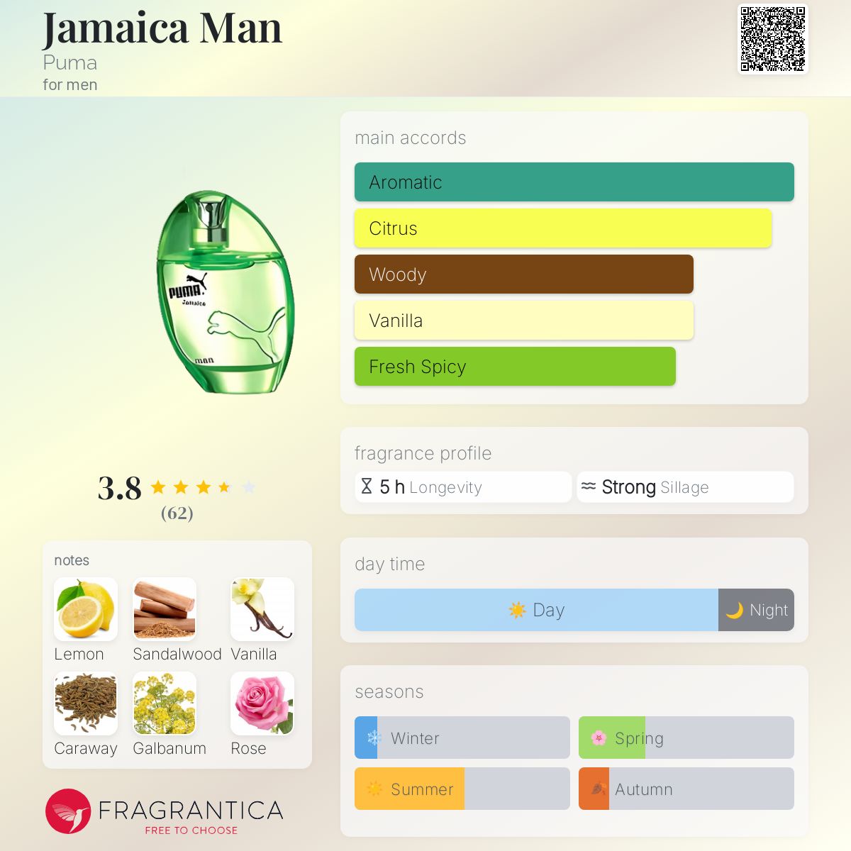 عطر ادکلن جامایکا من پوما - Jamaica Man Puma - بررسی، قیمت و خرید