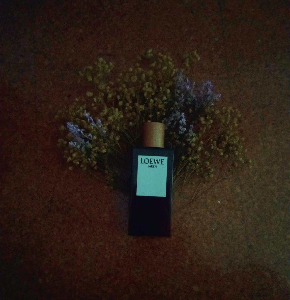 عطر ادکلن اِرث لووه - Earth Loewe - بررسی، قیمت و خرید