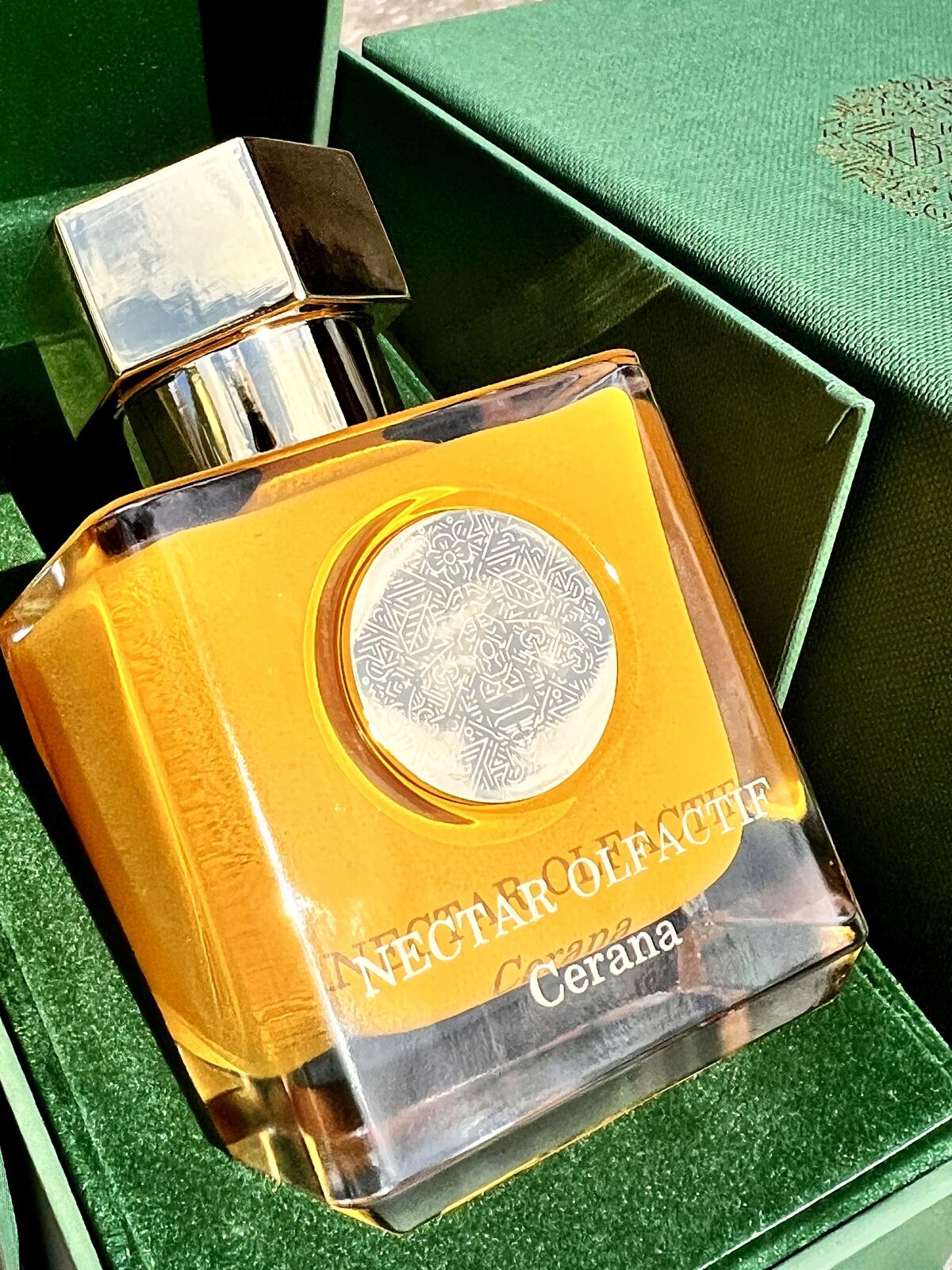 عطر ادکلن سرانا نکتار اولفکتیو - Cerana Nectar Olfactif - بررسی، قیمت و خرید