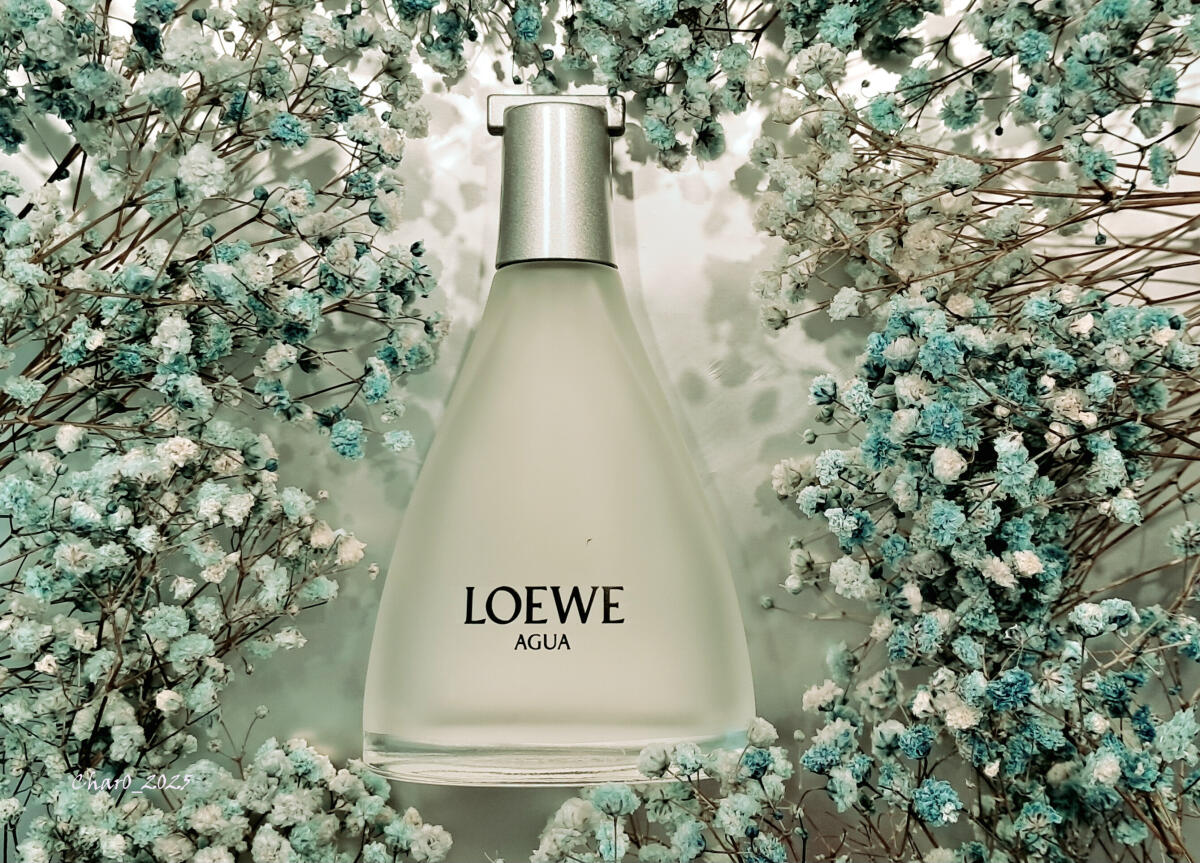 عطر ادکلن آگوا د لووه لویی - Agua de Loewe Loewe - بررسی، قیمت و خرید
