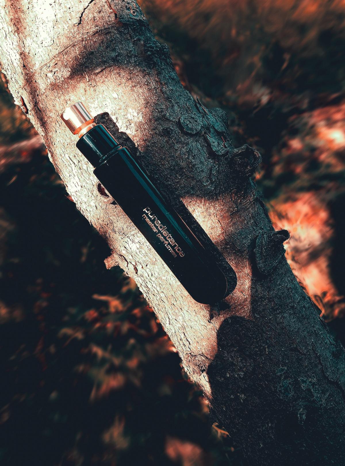 عطر ادکلن بلک نامبر فایو پیوردیستنس - Black No. 05 Puredistance - بررسی، قیمت و خرید