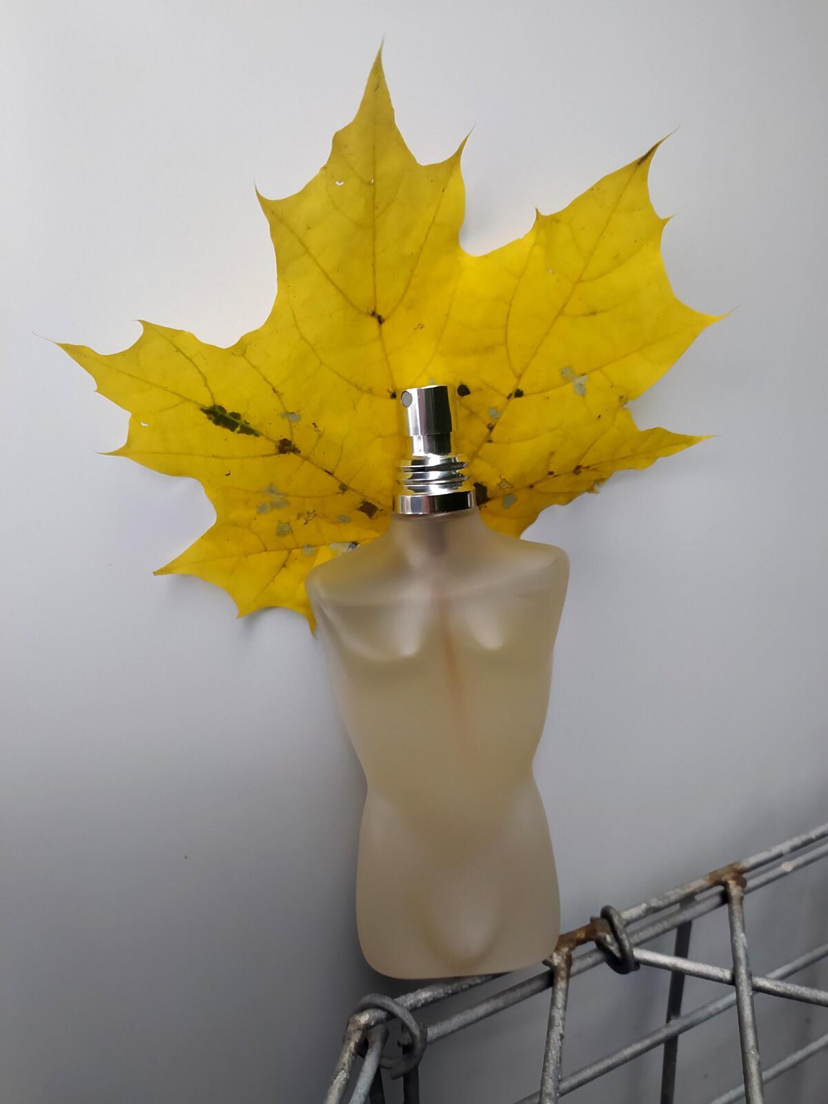 عطر ادکلن لا کولون فلور دو مال ژان پل گوتیه - La Cologne Fleur du Male Jean Paul Gaultier - بررسی، قیمت و خرید