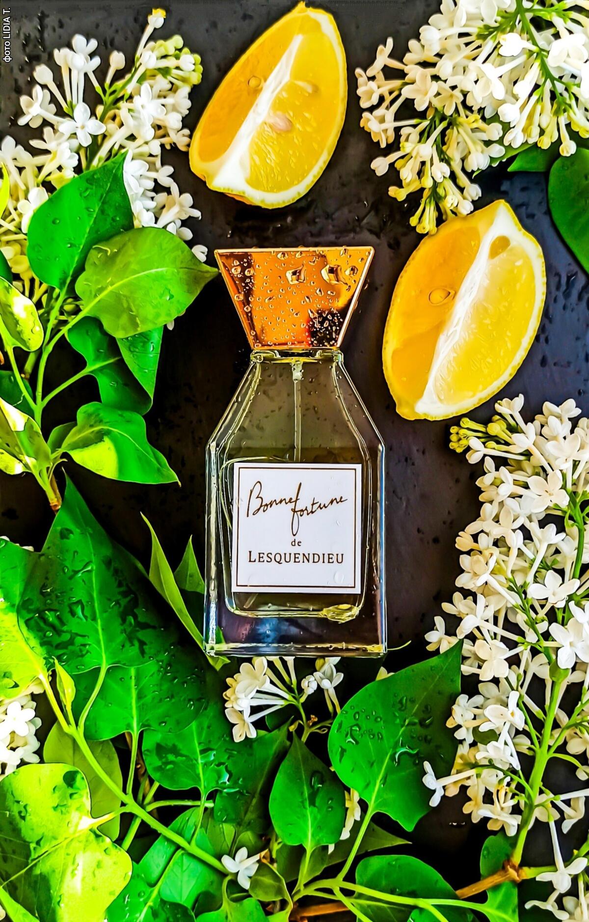 عطر ادکلن بان فورتون لسکندیو - Bonne Fortune Lesquendieu - بررسی، قیمت و خرید