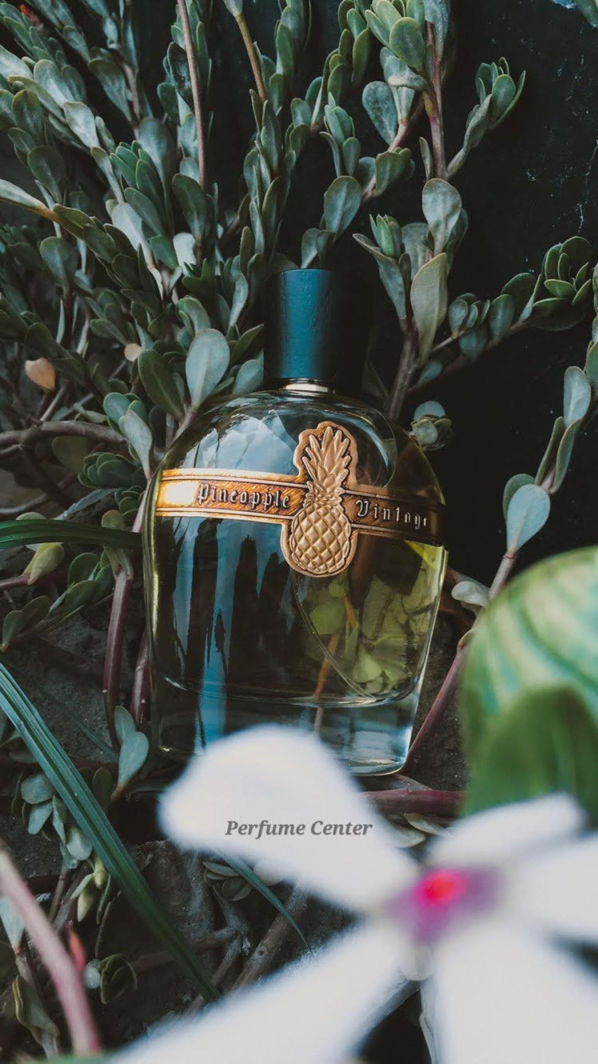 عطر ادکلن امپرور اکسترا پارفوم وینتیج - Emperor Extrait Parfums Vintage - بررسی، قیمت و خرید