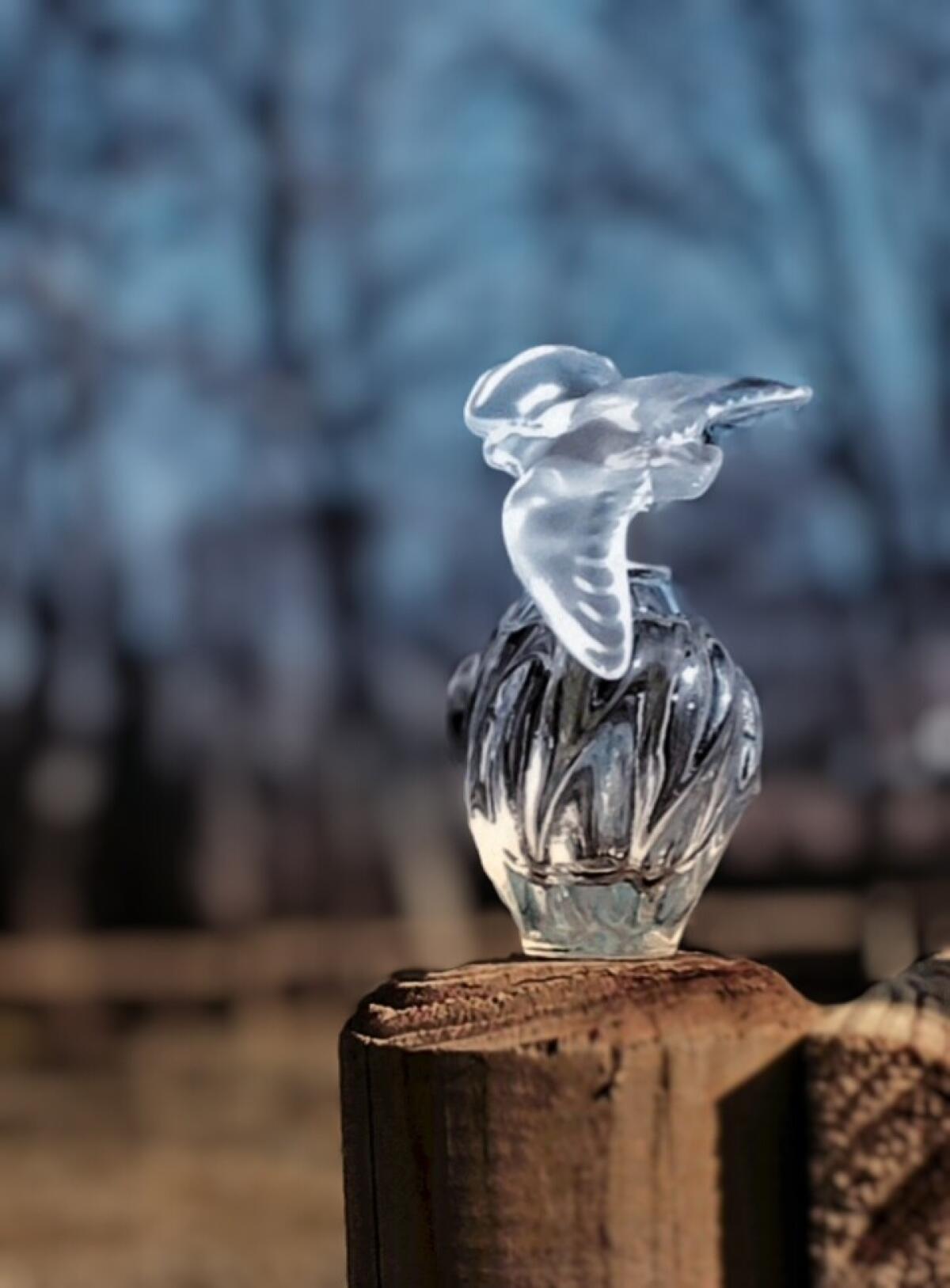 عطر ادکلن ل ایر دو تمو نینا ریچی - L'Air du Temps Eau de Parfum Nina Ricci - بررسی، قیمت و خرید